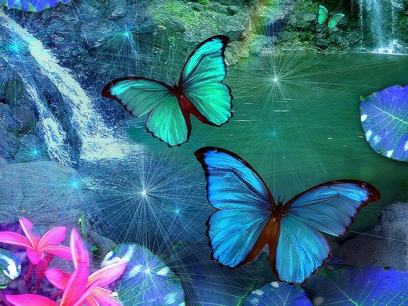 Blue Butterflies in Forest — Serene