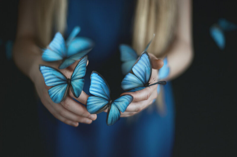 Blue Butterflies in Hands