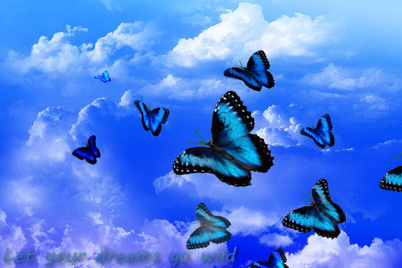 Blue Butterflies in Sky