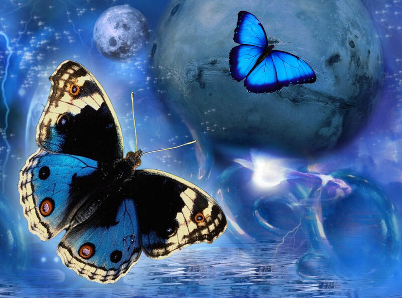 Blue Butterflies in Space