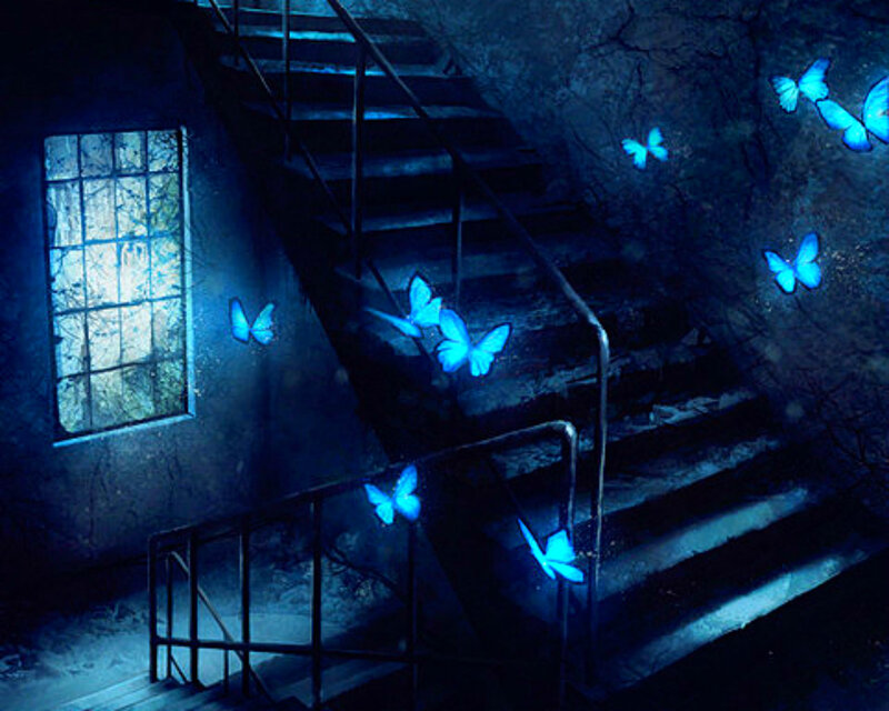 Blue Butterflies in Stairwell
