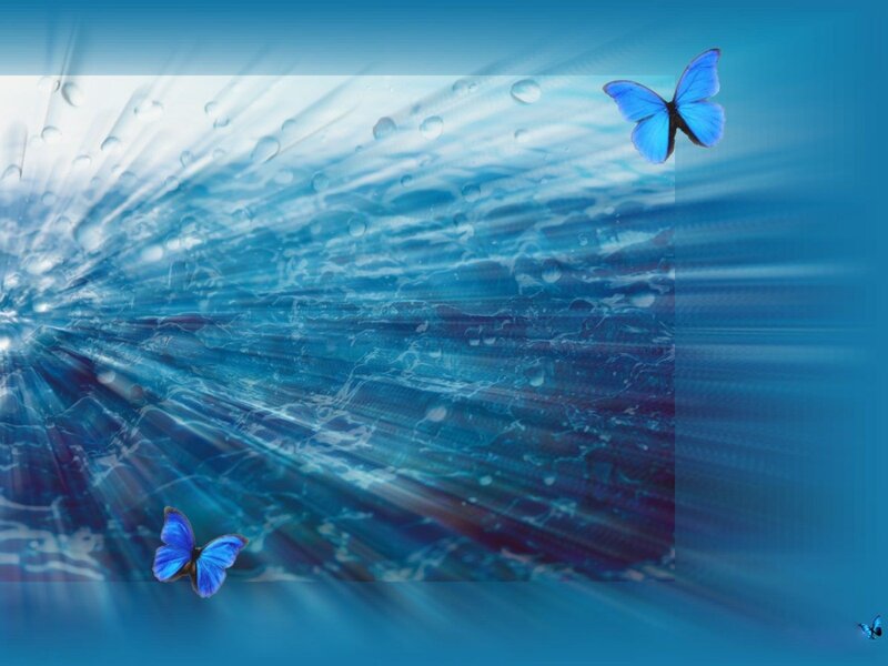 Blue Butterflies in Water