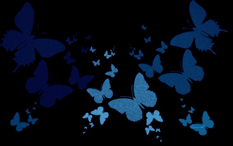 Blue Butterflies on Black — Serene, Night
