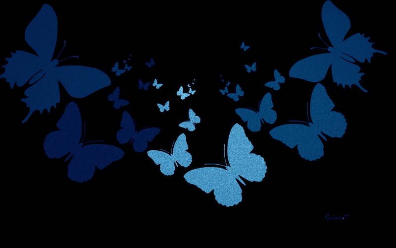 Blue Butterflies on Black — Serene
