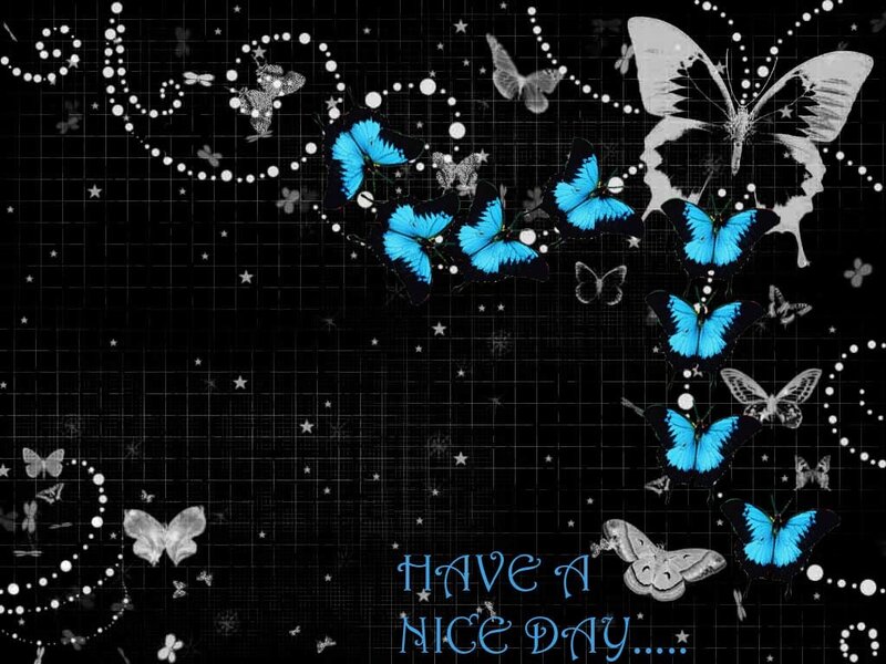 Blue Butterflies on Black