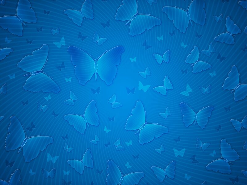 Blue Butterflies on Blue Background
