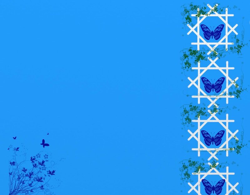 Blue Butterflies on Blue