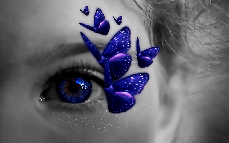 blue butterflies on eye