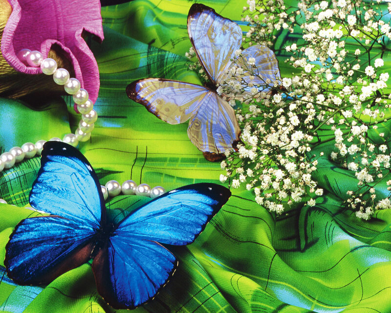 Blue Butterflies on Fabric