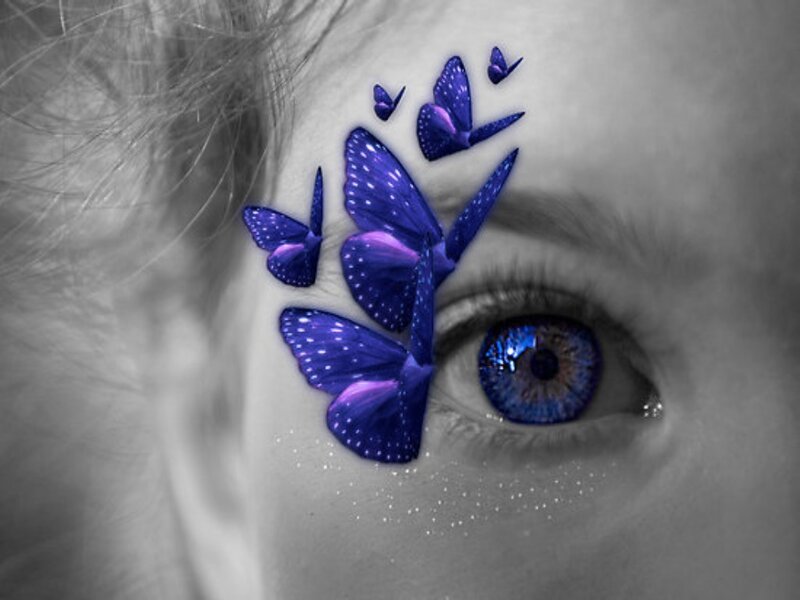 blue butterflies on face