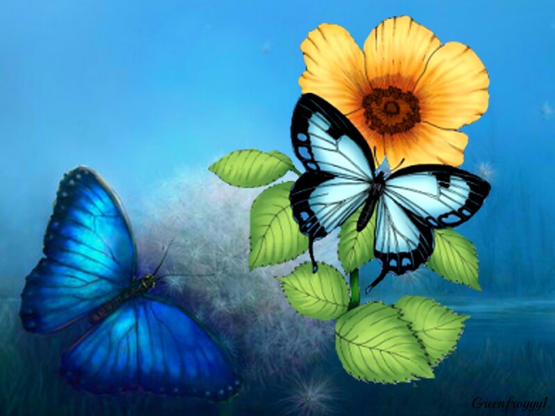 Blue Butterflies on Flower