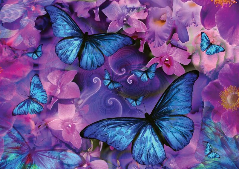 Blue Butterflies on Flowers — Purple