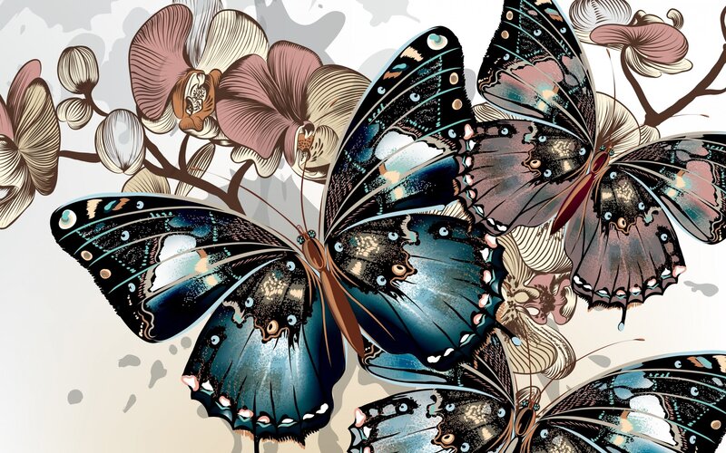 Blue Butterflies on Flowers — Serene, Illustration