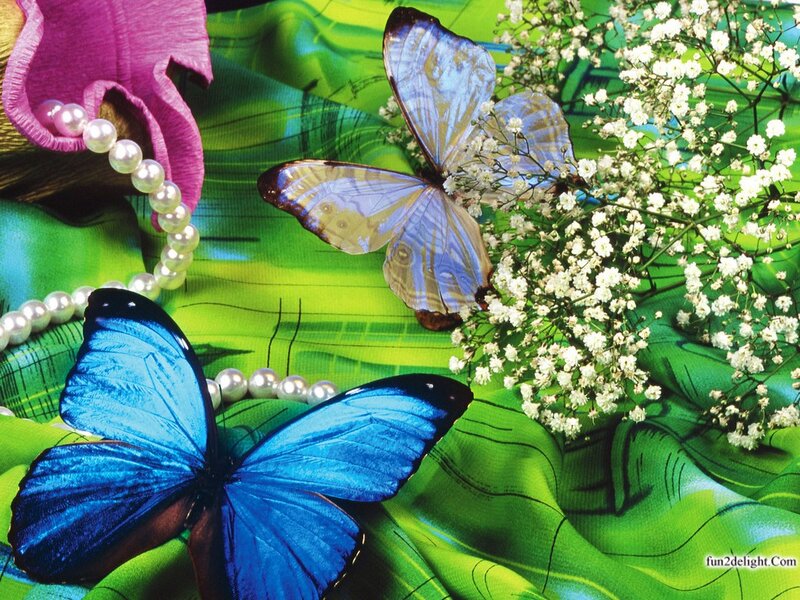 Blue Butterflies on Flowers