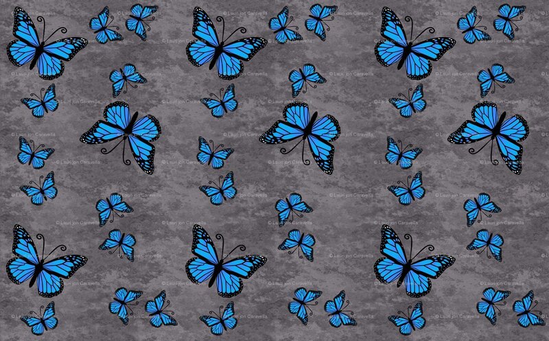 Blue Butterflies on Gray