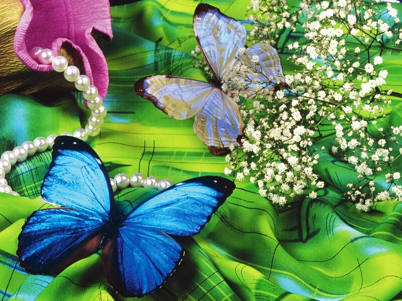 Blue butterflies on green fabric