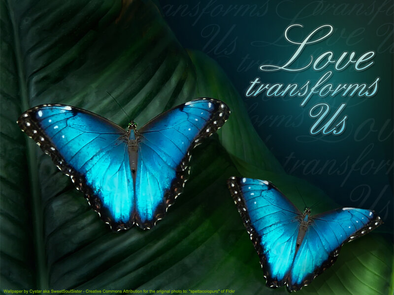 Blue Butterflies on Leaf