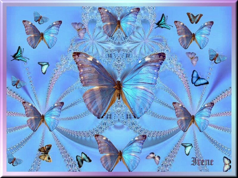 Blue Butterflies on Pattern