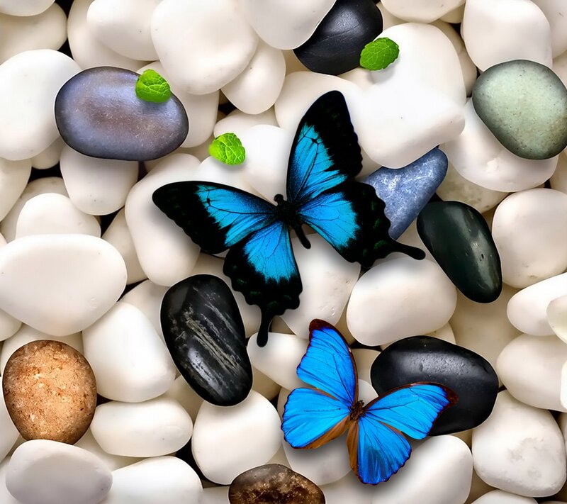 Blue Butterflies on Pebbles — Serene