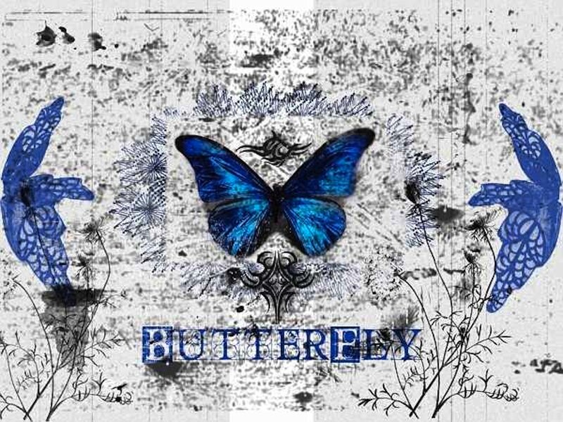 Blue Butterflies on Textured Background