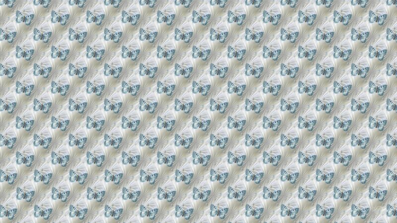 Blue Butterflies on White