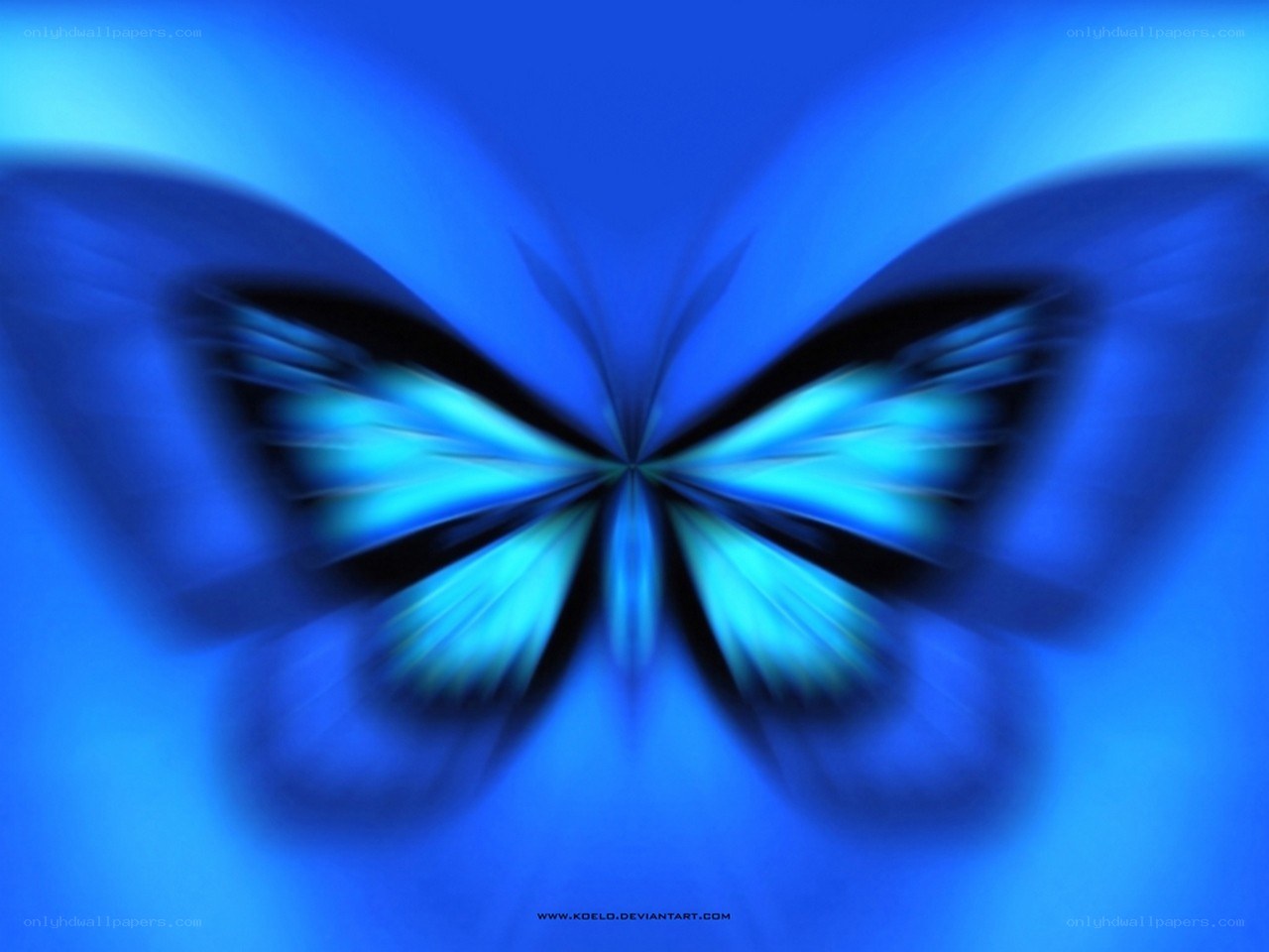 Blue butterfly abstract art