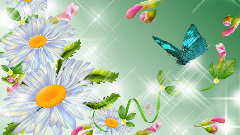 Blue Butterfly and Daisies