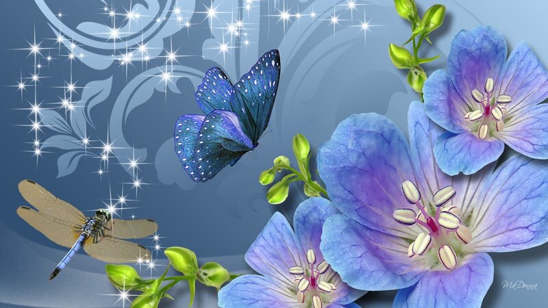 Blue Butterfly and Dragonfly