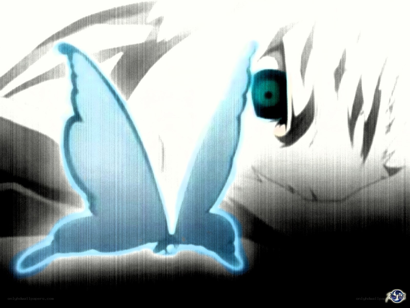 blue butterfly and eye
