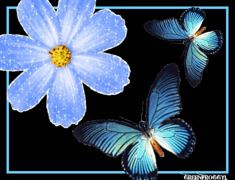 Blue Butterfly and Flower — Dreamy