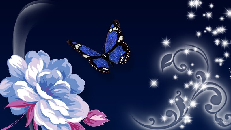 Blue Butterfly and Flower