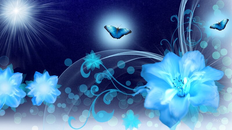 Blue Butterfly and Flowers — Dreamy, Night