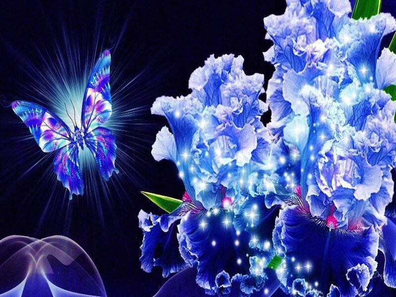 Blue Butterfly and Flowers — Magical