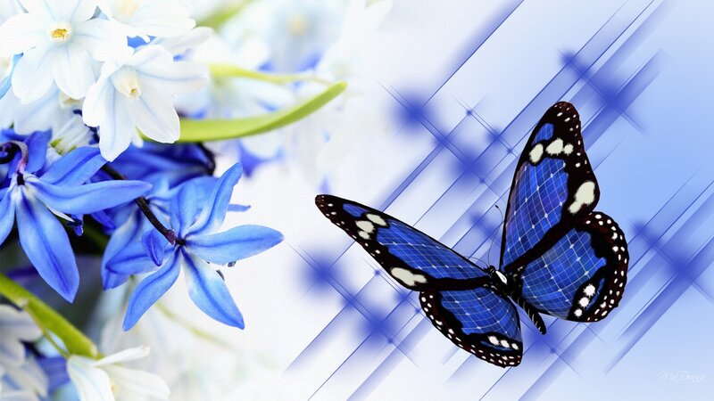 Blue Butterfly and Flowers — Serene, Digital Art