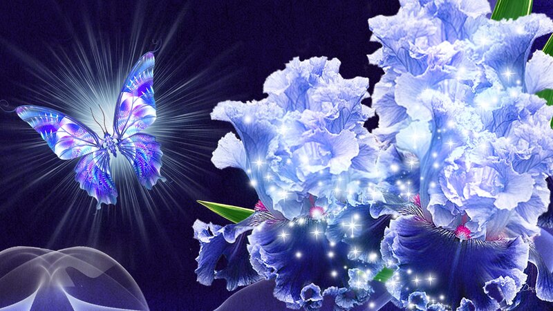 Blue Butterfly and Iris Flowers