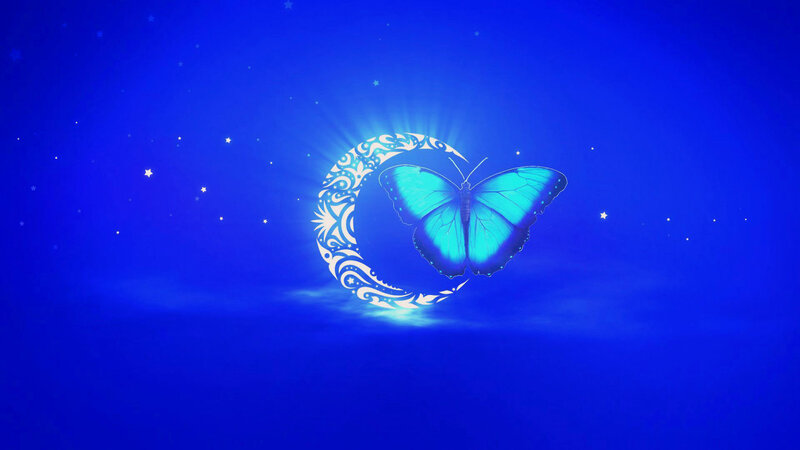 Blue Butterfly and Moon