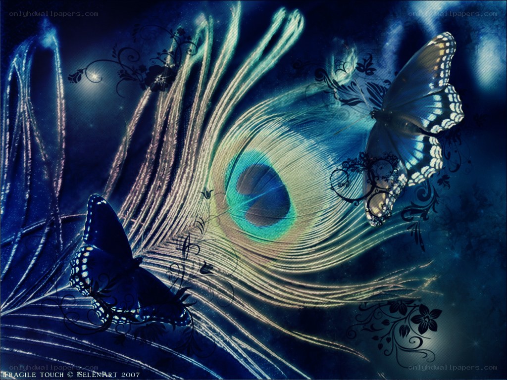 Blue butterfly and peacock feather