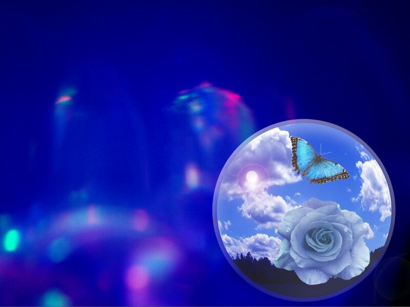 Blue Butterfly and Rose — Dreamy