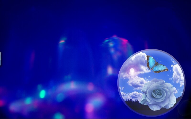 Blue Butterfly and Rose