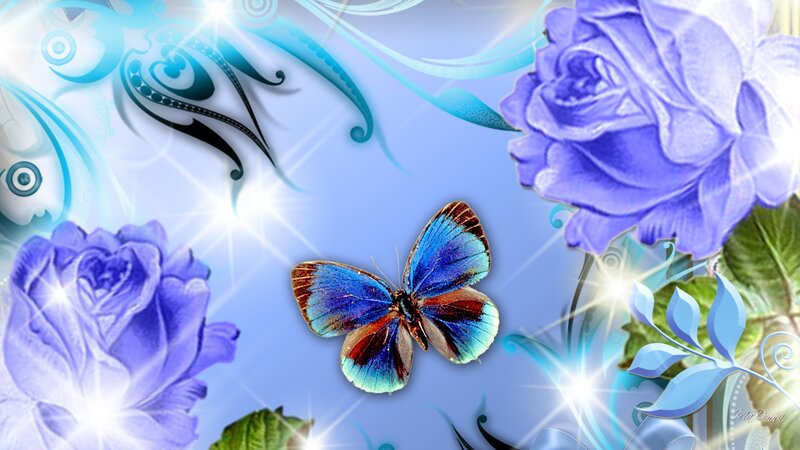 Blue Butterfly and Roses — Dreamy