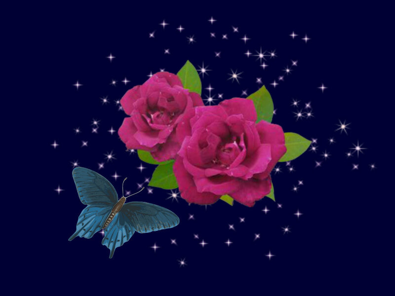 Blue Butterfly and Roses