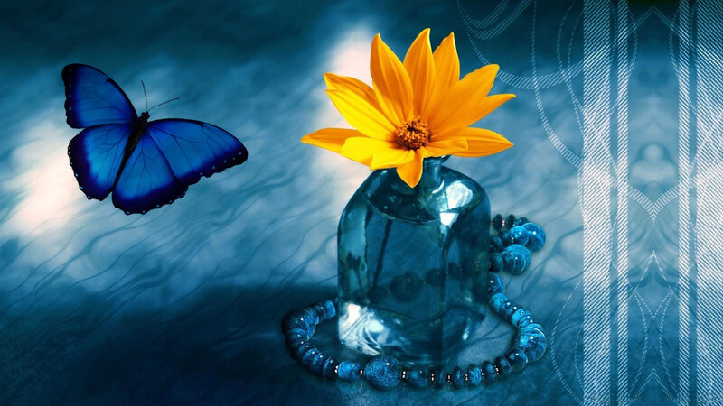 Blue Butterfly and Yellow Flower