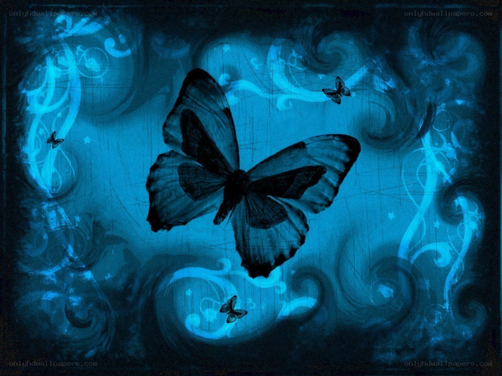 Blue butterfly art design