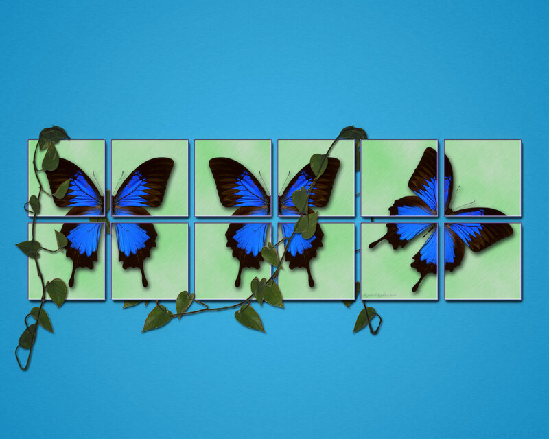 Blue butterfly collage