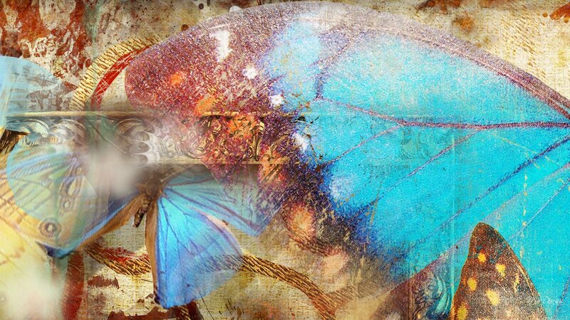 Blue Butterfly Collage — Dreamy