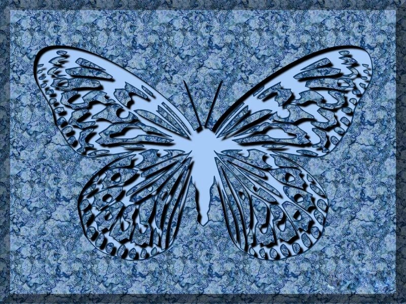 blue butterfly design