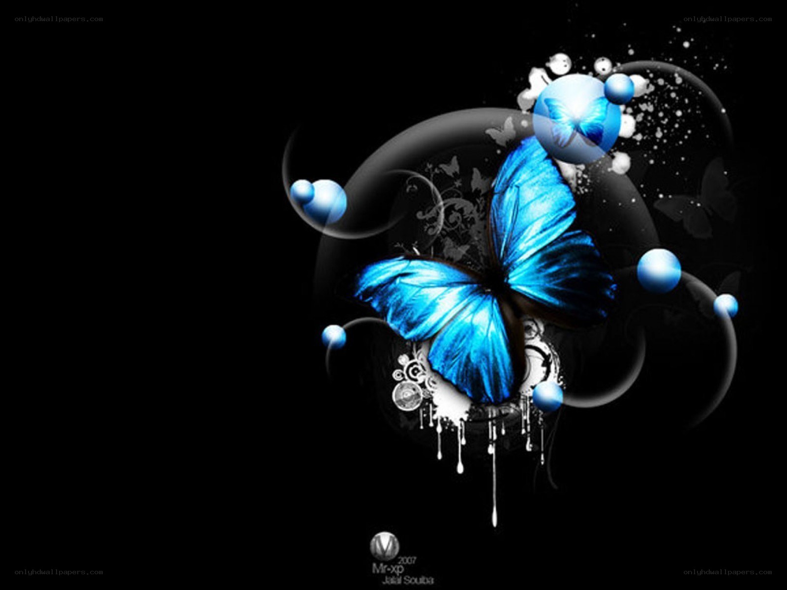 blue butterfly digital art
