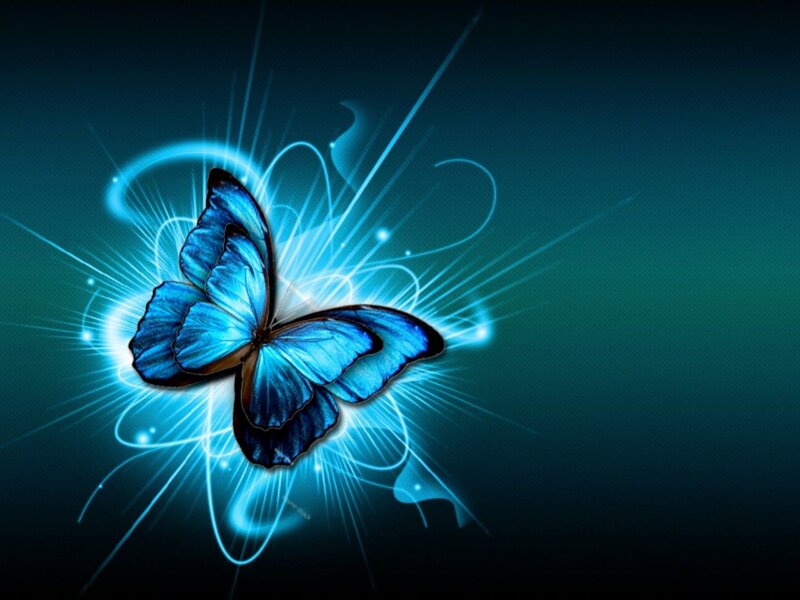 Blue Butterfly — Dramatic