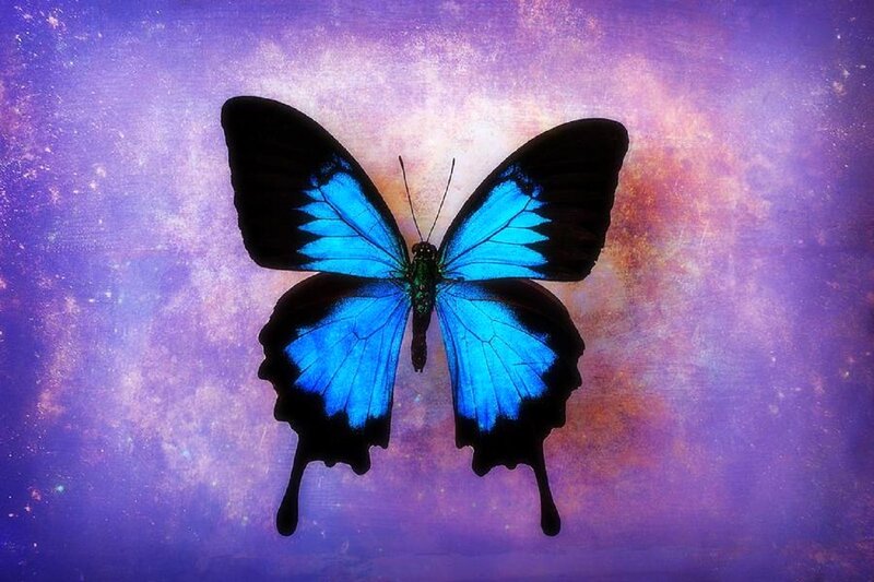 Blue Butterfly — Dreamy, Digital Art