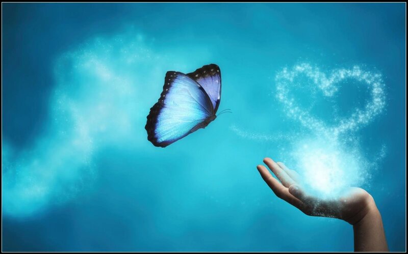 Blue Butterfly Flying